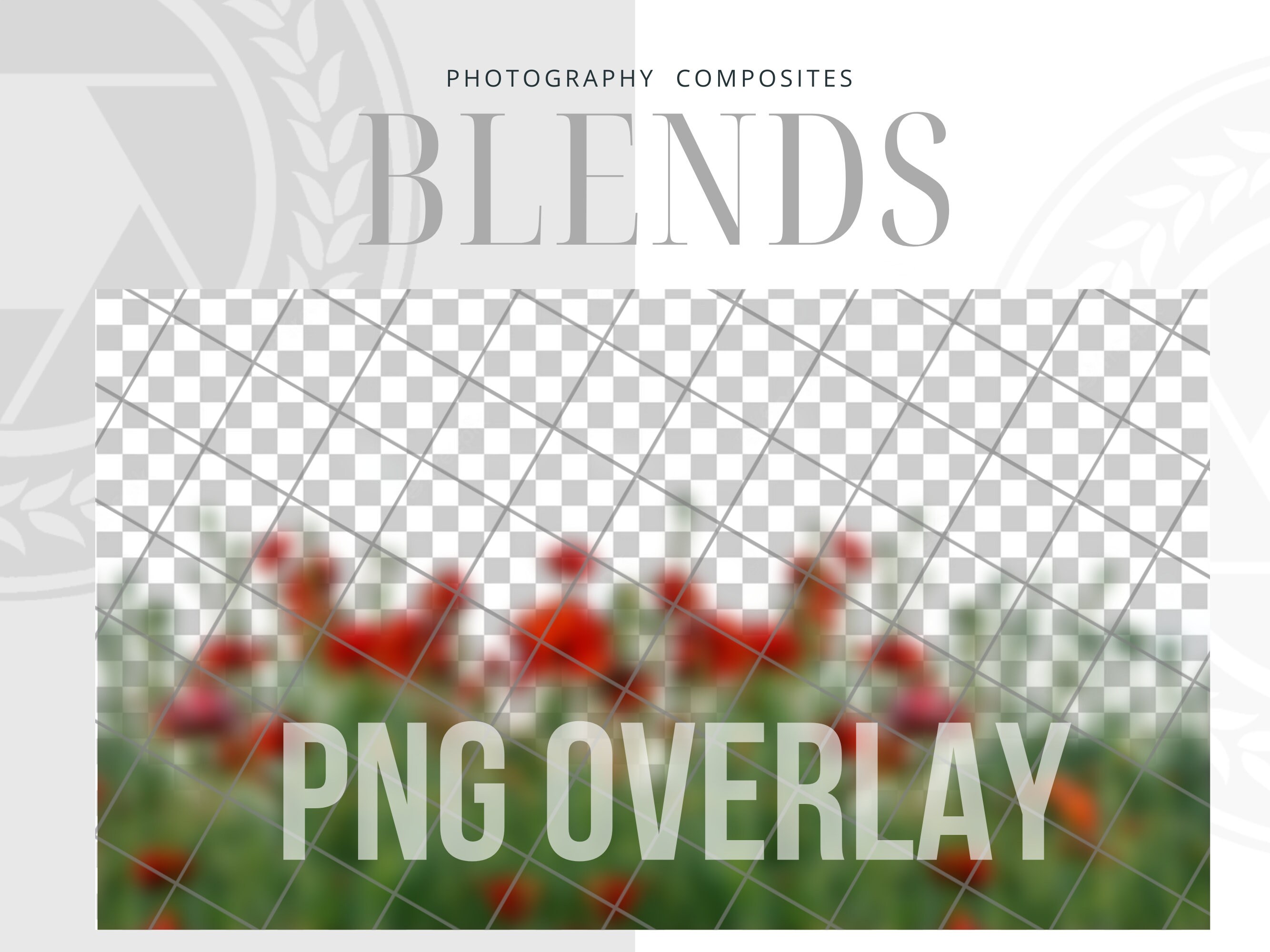 Red Photography Background Fields Red Flower Fields Digital Etsy