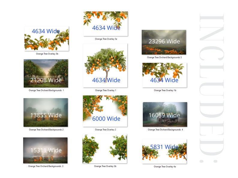 Garden Orange Orchard Digital Orange Tree Background Orange Garden