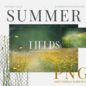 Summer Floral Field Photography Blur Digital Background Dandelion Country Fields Composite Flower Fields Background Dandelion PNG Overlay