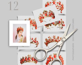 Fairy Crown PNG Overlay, Fantasy Tiara for Photoshop Composites, Fine Art Portrait Prop