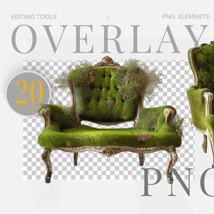 Moss Chair PNG Chair Digital PNG Mossy Backdrop Spring Backdrop Photo Backdrop Digital Backdrop Chair PNG Moss