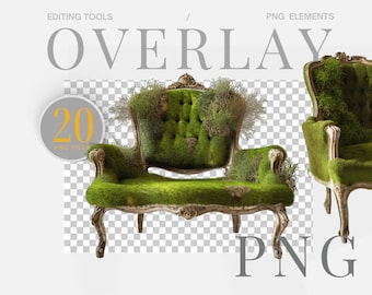 Moss Chair PNG Chair Digital PNG Mossy Backdrop Spring Backdrop Photo Backdrop Digital Backdrop Chair PNG Moss