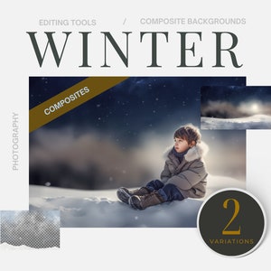Winter Night Animal Composite Brown Fine Art Winter Photography Background Digital Night Backdrop Winter Night Scene Dark Winter Face Swap