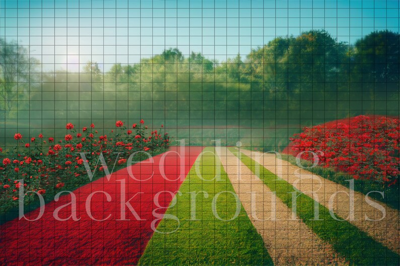 Luxury Red Photography Background Replacement Landscape Etsy