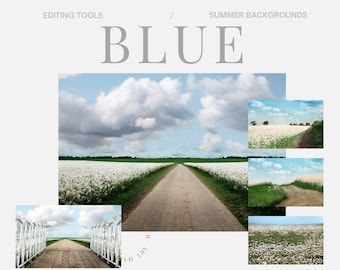 Summer Blue White Fields Photography White Flower Blue Sky Digital Backdrop Light Blue Sky Fields Farm Background Fine Art