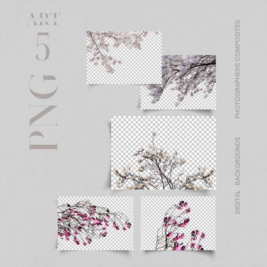 Png Flower Overlay Flower Files Flower Background Flower Tree Branch ...