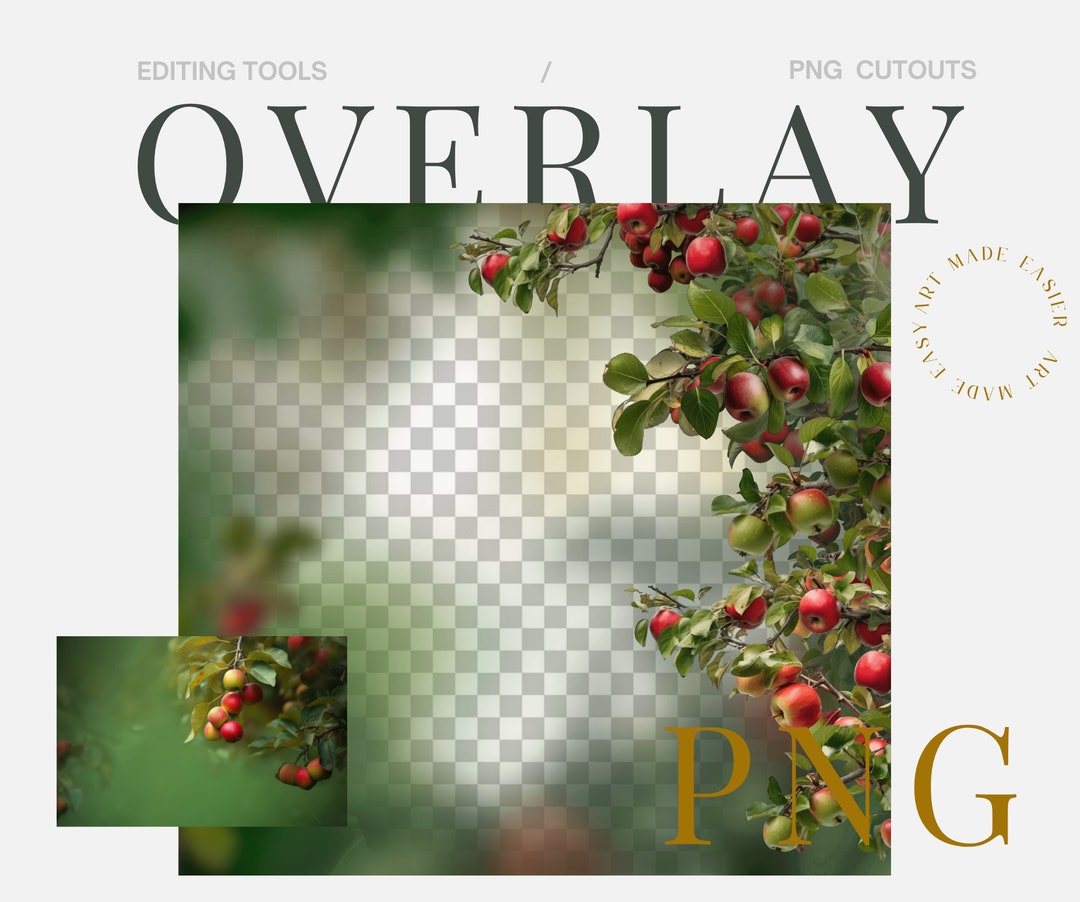 Apple Orchard Digital Photography Blur Background Apple Orchard