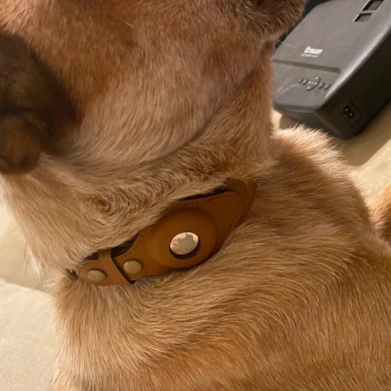 Leather Dog Collar With Air Tag Airtag Dog Collar GPS Pet Etsy