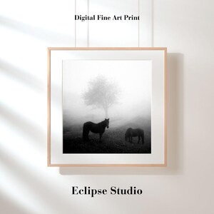 DREAM | Black and White Horse Photography | Minimalist Wall Art | Fine Art Print