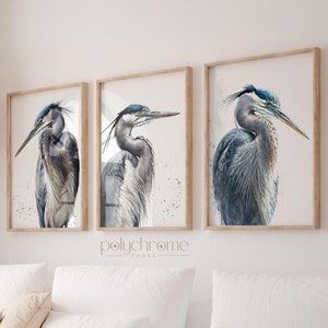 Great blue heron - white crane bird lover gifts, beachy bedroom, baby nursery decor wall art | Paper print sized: 5x7 - 24x36 in