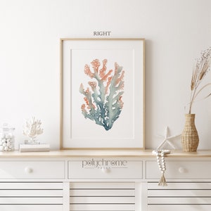 Corals and Seaweeds Beachy Decor, Tranquil Blue & Peach Hamptons ...