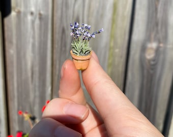 Casa de muñecas lavanda en maceta, Escala 1/12 - PARA PEDIR