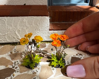 Amapolas para jardín de casa de muñecas, escala 1/12 - Se realizan pedidos