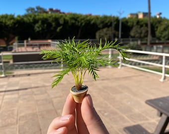 Palmera de casa de muñecas, escala 1/12 - PARA PEDIR