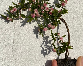 Dollhouse climbing rose, Scale 1/12 - TO ORDER