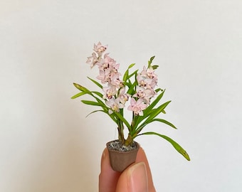 Miniature Cymbidium Orchid, Scale 1/12 - TO ORDER