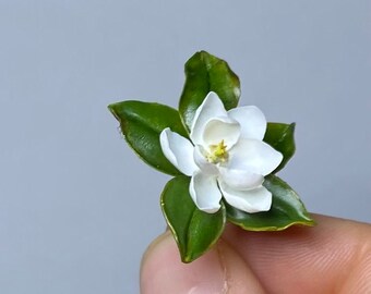 Magnolia blanca, Escala 1/12- PARA PEDIR