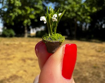 Miniature snowdrops in pot , Scale 1/12 - TO ORDER