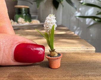 Dollhouse white hyacinth  in pot, Scale 1/12 - TO ORDER