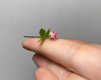 Rosa de casa de muñecas, Escala 1/12 - PARA PEDIR