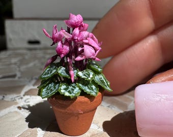Ciclamen rosa para casa de muñecas en maceta, escala 1/12