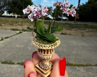 Dollhouse phalaenopsis orchid, 3 flowers branches, scale 1/12-TO ORDER