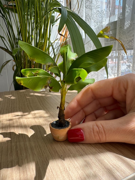 Bananenstaude im Topf, Mastab 1/12 - AUF BESTELLUNG - Etsy.de