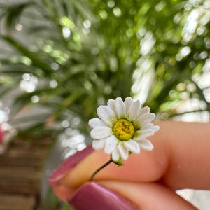 Dollhouse Daisy, Scale 1/12, TO ORDER - Etsy