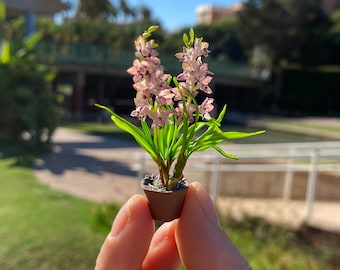 Miniature Cymbidium Orchid, Scale 1/12 - TO ORDER