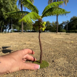 Coconut tree, Scale 1/12 - TO ORDER