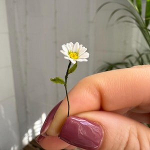 Dollhouse Daisy, Scale 1/12, TO ORDER - Etsy