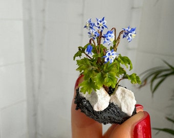 Miniature columbines for dollhouse garden, Scale 1/12 - TO ORDER