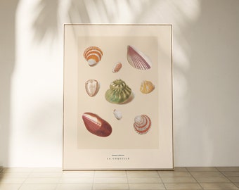 Seashell Collage Art Print: Colorful Nautical Beach House Decor (Digital Download)