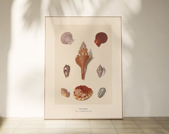 Seashell Collage Art Print: Neutral Beige Coastal Decor (Digital Download)