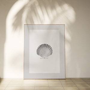 Black and White Sea Shell Art Print Seashell Poster Gray Nautical Coastal Printable Wall Art for Modern Beach house Decor