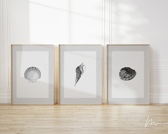 Seashell Art Print Set of 3, Black and White Coastal Decor (Digital Download)