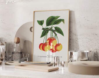 Cherry Print: Retro Kitchen Wall Art, Vintage Fruit Poster (Digital Download)