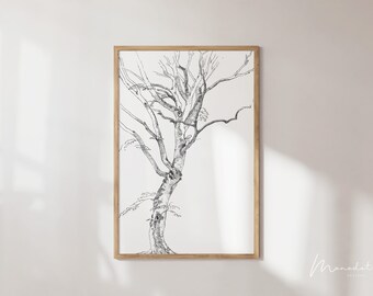 Black and white Tree Drawing Botanical Wall Art Monochrome Print for Modern Farmhouse Decor