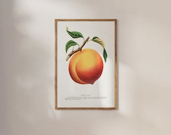 May include: A vintage botanical illustration of a peach with green leaves and the text "Wheatland. A new seedling peach, a most valuable variety; fruit large, flesh yellow, very juicy, fine flavor and late-maturing."