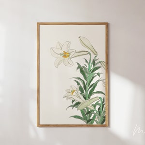 Japanese White Lily Art Print: Vintage Floral Botanical (Digital Download)