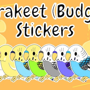 Chibi Parakeet Budgie Bird Stickers Budgerigar Breed Cartoon Art Kawaii Cute Pet Lover Gift Parrots Animal Mom Dad Decal Accessories Bestie