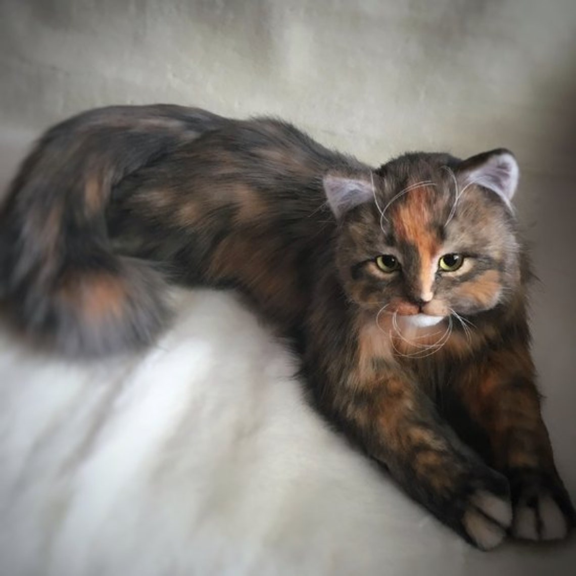 REALISTIC CAT PATTERN visual data 6