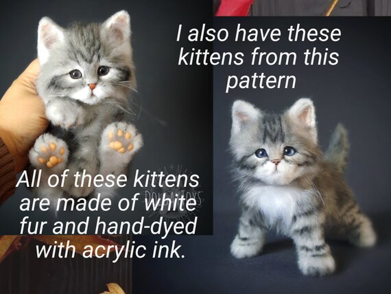 Fluffy kittens deals