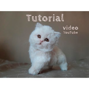 May include: A small, fluffy white kitten with large brown eyes and a pink nose, standing in a forward-leaning pose. The text "Tutorial video YouTube" is displayed in white, sketch-style lettering above the kitten's head against a plain background.