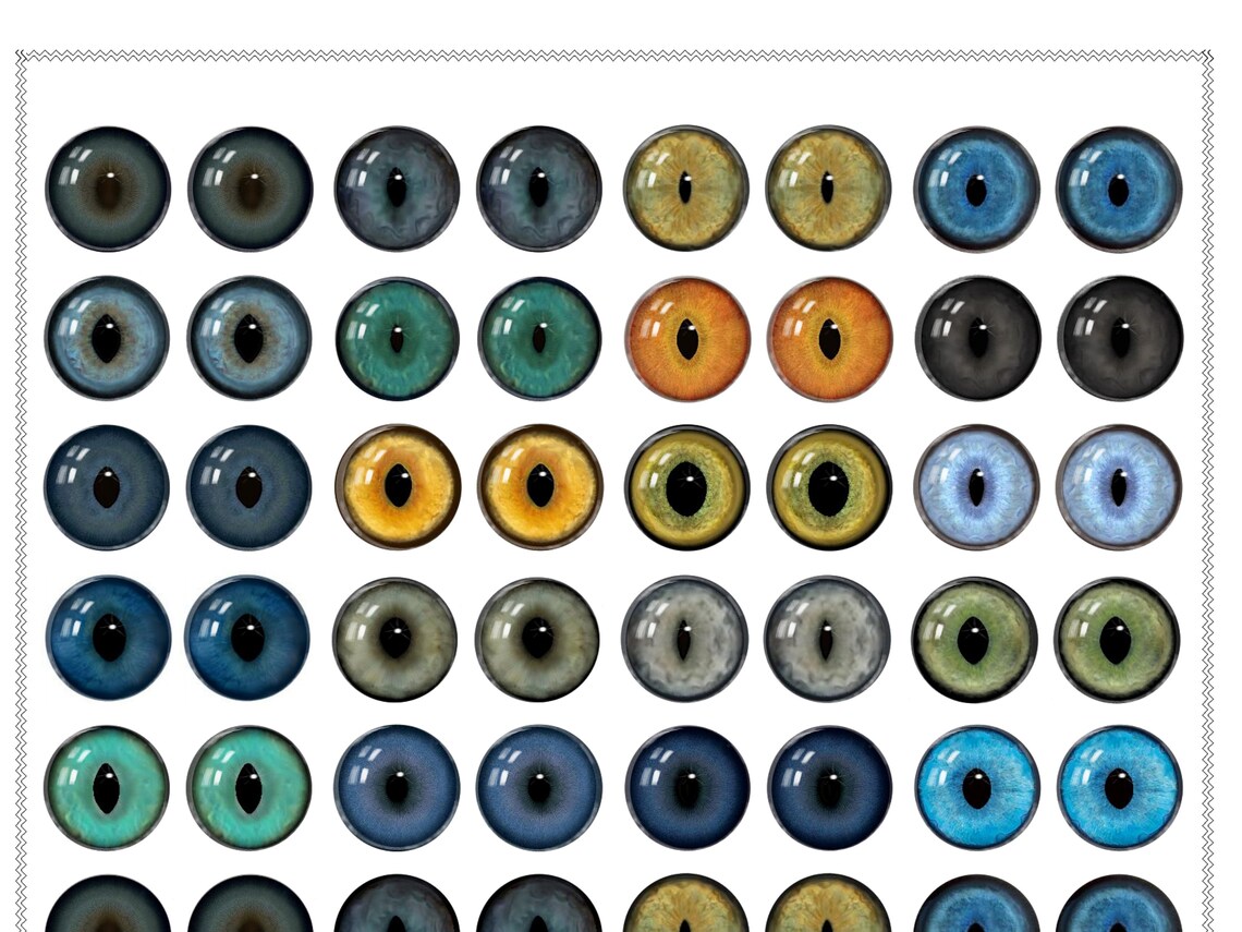 Realistic Kitten Eyes Digital Collage Sheet Printed Animal - Etsy