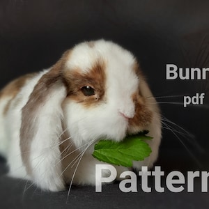 Sewing Pattern Bunny, Pattern pdf, Plush toys, Realistic toys