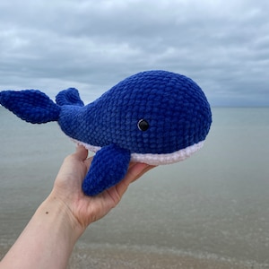 May include: A blue crocheted whale plush toy with white accents and a single black eye. The whale is being held in a hand against a background of a cloudy sky and a body of water.