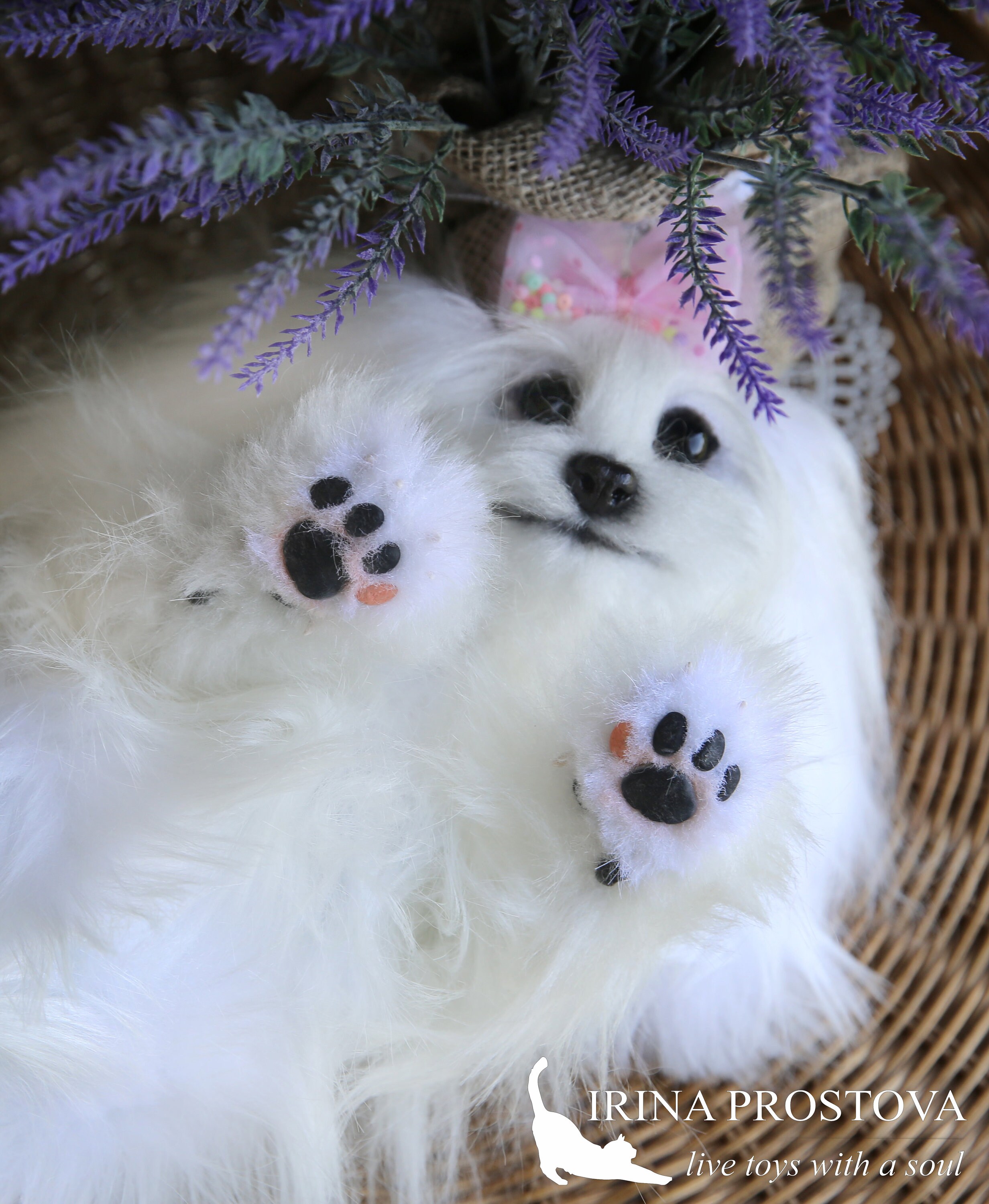 マルチーズ犬のパターン。リアルな裁縫おもちゃ、マルチーズ犬