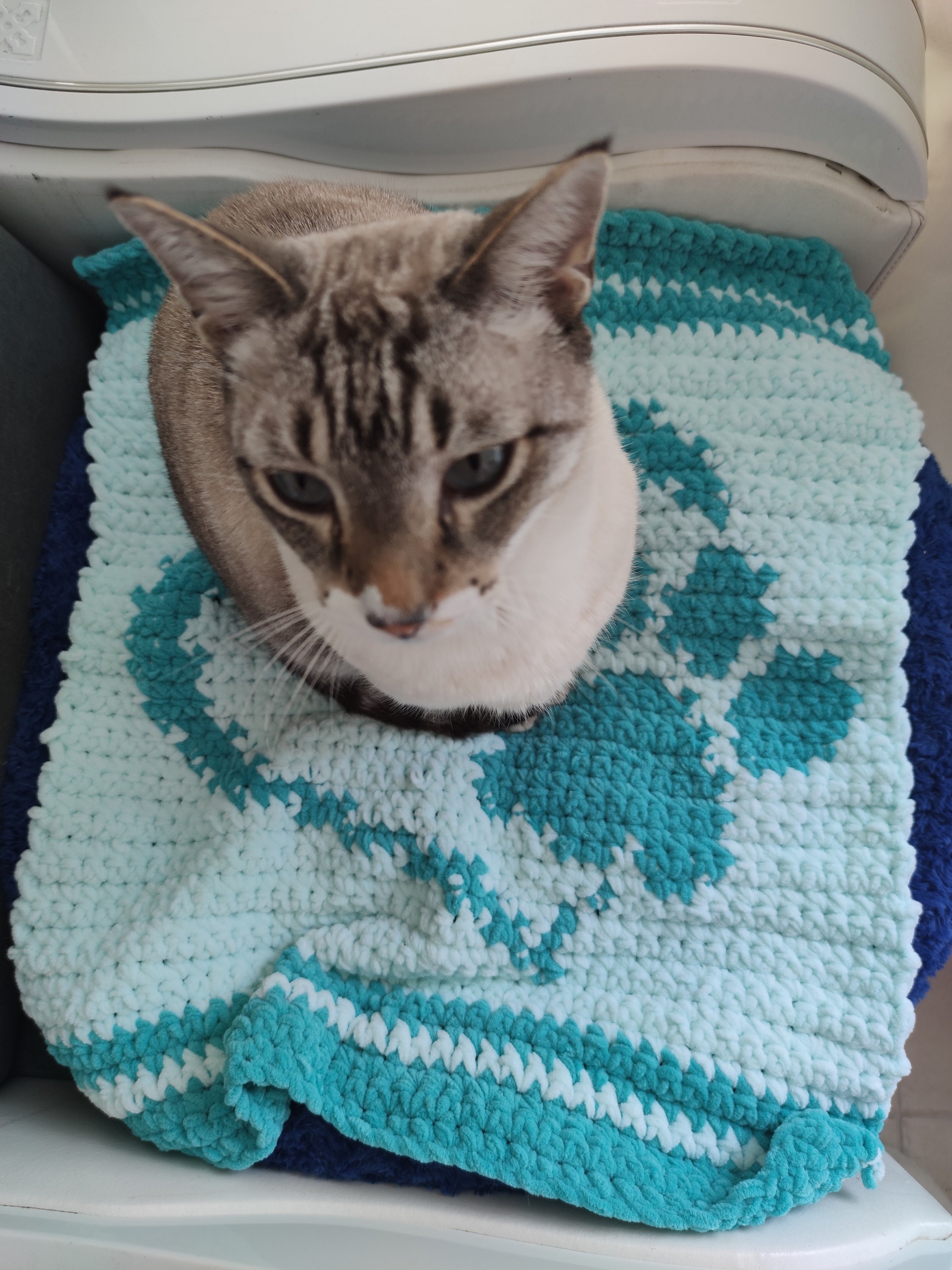 かぎ針編みの猫の手編みパターン。猫用ブランケット。赤ちゃん用 