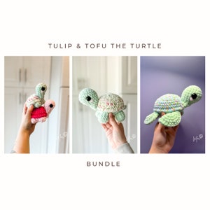 Tulip & Tofu the Turtle Bundle